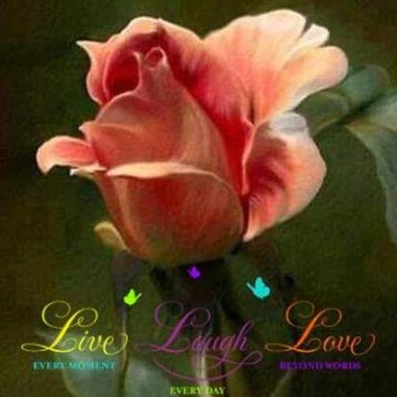 Meet your Posher, Beverly - Picture 1 of 1